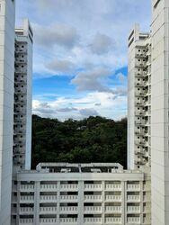 Blk 70C Telok Blangah Ridgeview (Bukit Merah), HDB 4 Rooms #520255981